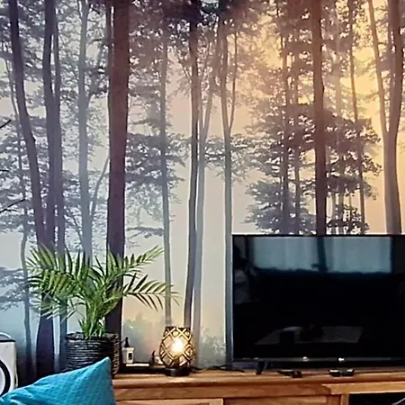 Westerourthe 6 Personen Sauna * دربي