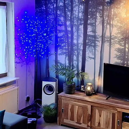 Westerourthe 6 Personen Sauna