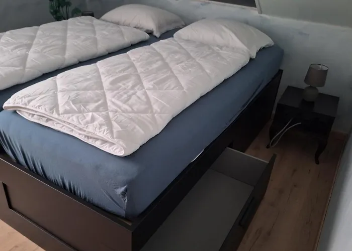 Westerourthe 6 Personen Sauna *